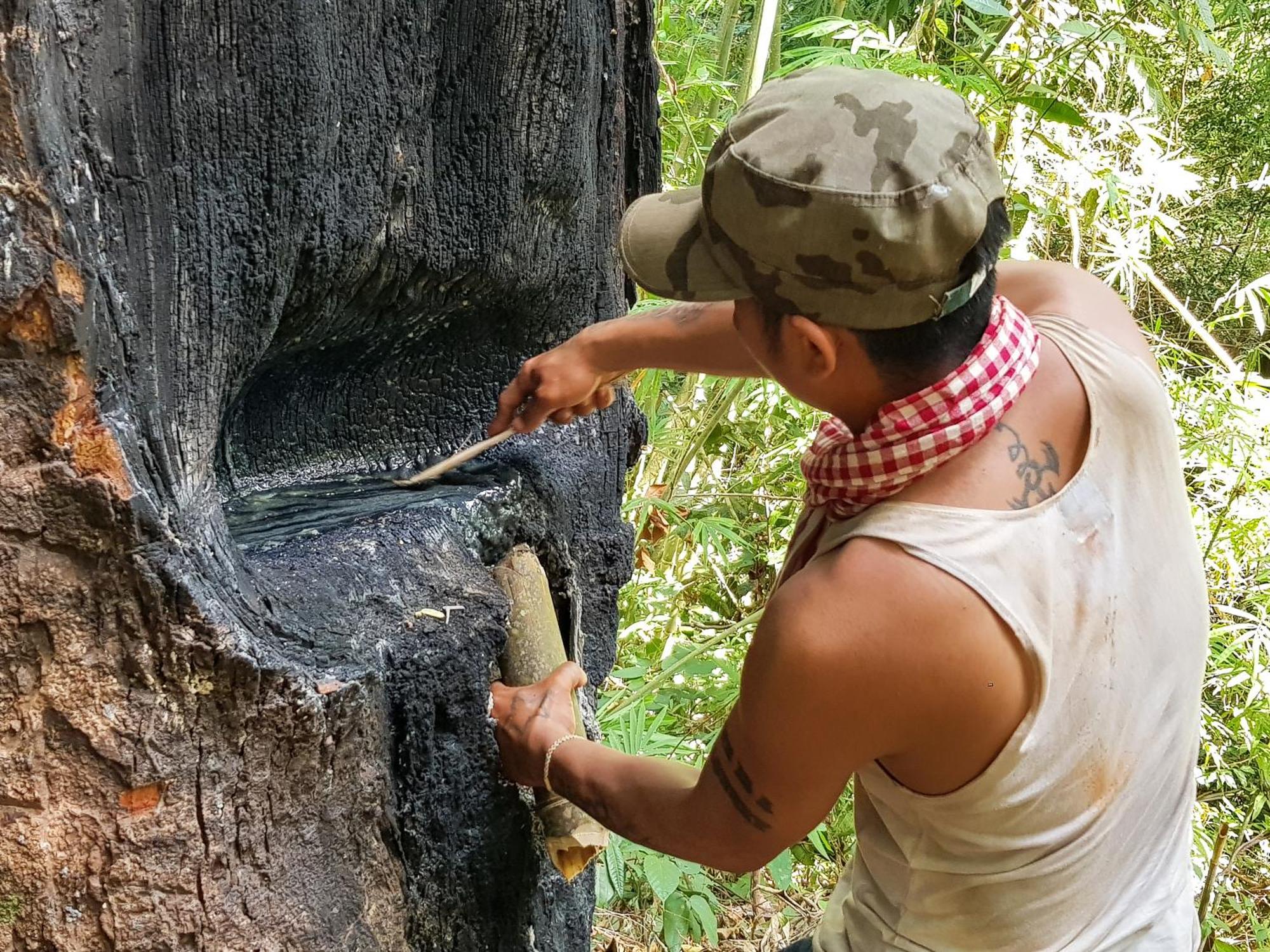 Ratanakiri Homestay & Jungle Trek Banlung Exteriör bild